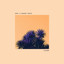 Closer cover