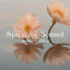 Steven Bernstein - Resonation Trio - Sitting On The Top Of The World