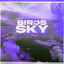 Birds In The Sky - Tays & Charva Boys Remix