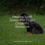 Amazing Spirit Sounds For Dogs | Delightful Relaxation cover