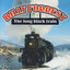 The Long Black Train cover