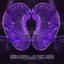 On Swift Wings - Bablak Remix