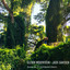Jade Garden - Colin Benders Extended Dream Mix