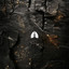 Bound to Divide — Gold Rush cover art