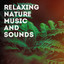 Relaxing Nature Music and Sounds cover