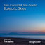 Balearic Skies - Forteba Remix