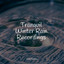 Tranquil Winter Rain Recordings cover