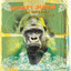 Nascente cover