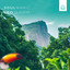Made in Brazil cover