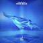 Wide Blue cover