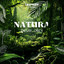 Natura - Extended Mix