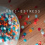 Anti-estress cover