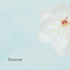 Blossom - Kaela Black