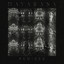 Raudra — Shringara (feat. Gian Torrano Jacobs) cover art
