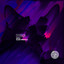 Coyu — This Is cover art