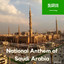BNP Radio - Saudi Arabian general appointed head of a multinational military confederation: Another step towards the ‘King of the South’?