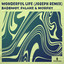 Wonderful Life - JOSEPH (CH) Extended Remix