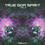 True Goa Spirit, Vol. 2 cover