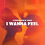 I Wanna Feel cover
