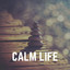 Calm Life cover