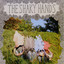 The Shaky Hands cover
