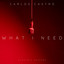 Carlos Castro - What I Need (Radio Mix)