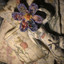 Patrick Watson - Height of the Feeling