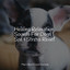 Healing Relaxation Sounds For Dogs | Spa & Stress Relief cover