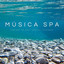 Música Spa: Sonidos De Agua Sensual Fluyendo cover