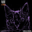 Catmouz