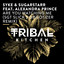 Are You Watching Me feat. Alexandra Prince - Sgt Slick's Discotizer Extended Remix