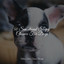 50 Sensational Sleepy Classics For Dogs cover