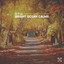 Bright Ocean Calms cover