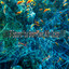 ! ! ! ! 37 Expand Your Brain Power With Ocean ! ! ! ! cover
