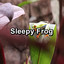 Unknown Title cover