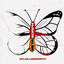 Metamorph (Deluxe) cover