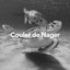 Couler de nager cover