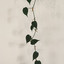 FRUITICANA - GENERIC #0687 (DO NOT CHANGE)