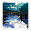 Ride cover