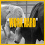WORK HARD cover