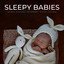 Sleepy Babies: The Best Rainforest Environment To Calm Your Baby cover