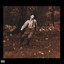 The Ballad of Cowardice cover