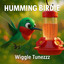 Humming Birdie