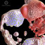 Arythmm - Fec's Cardiac Rite