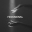 fenomenal cover