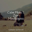 Calm Music | Zen Mindfulness cover