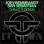 Shake It Down