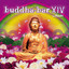 Buddha Bar XIV (Selected By DJ Ravin) cover