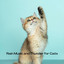 Rain Music and Thunder for Cats cover