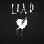 Liar cover